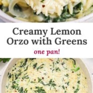 Orzo, text overlay reads "creamy lemon orzo with greens - one pan!"