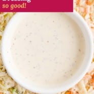 Salad, text overlay reads "homemade coleslaw dressing - so good."