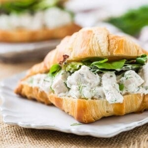Dill chicken salad on a croissant.