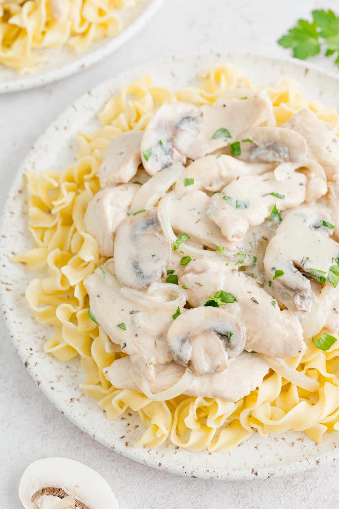 Chicken stroganoff served on egg noodles.