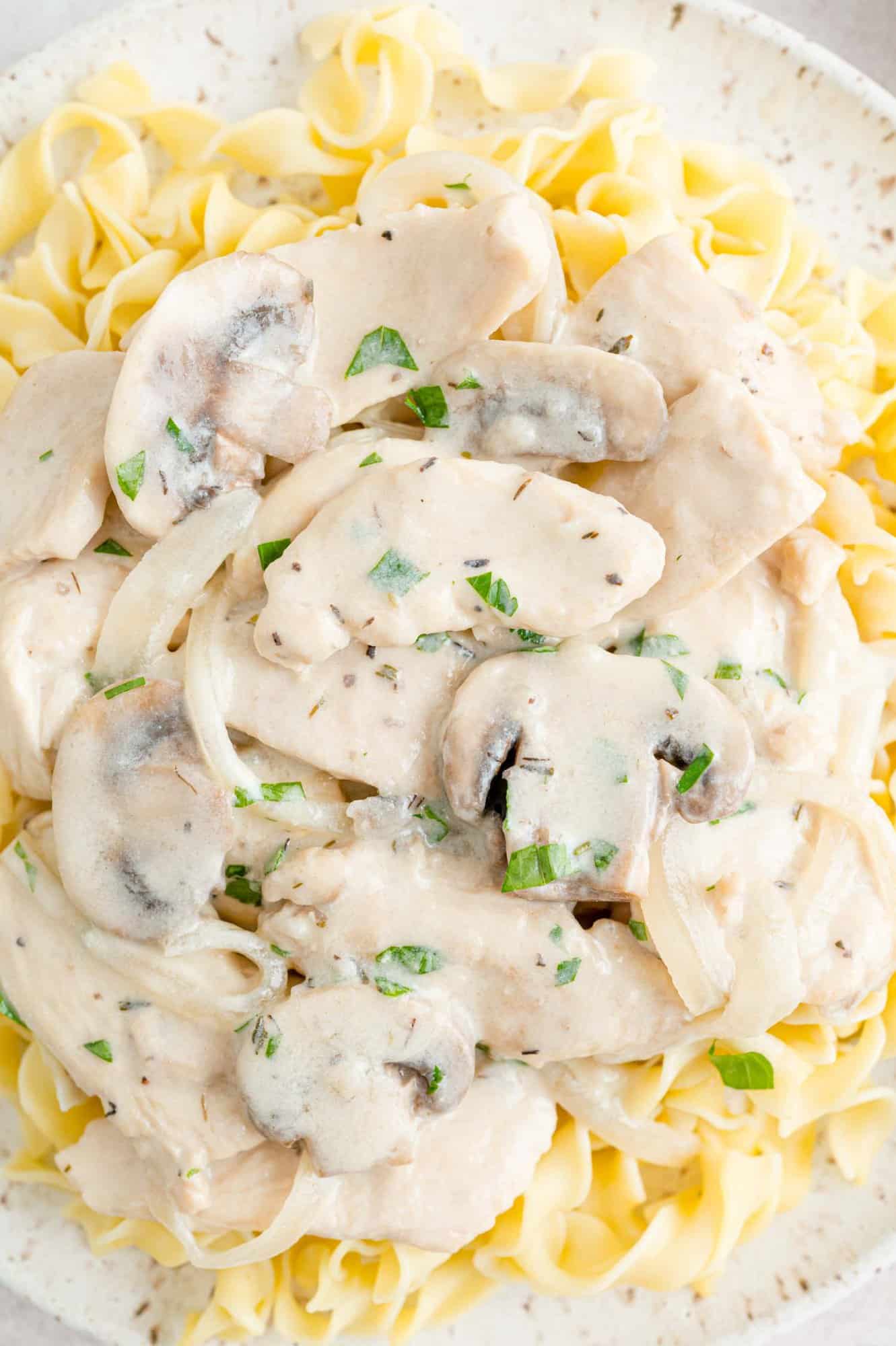 Chicken stroganoff served on egg noodles, topped with parsley.