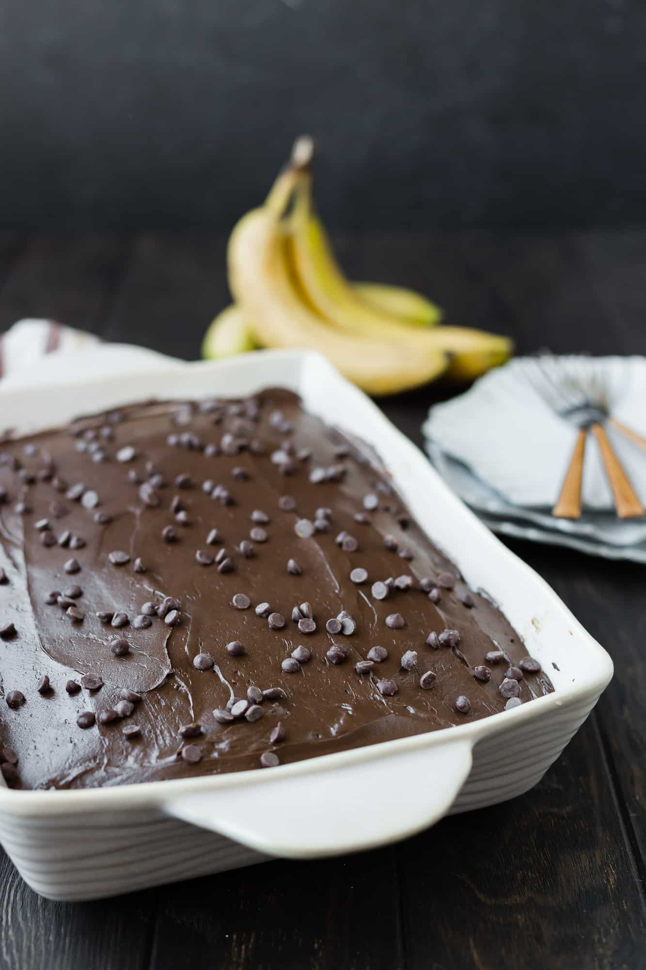 Cake with chocolate frosting and chocolate chips.