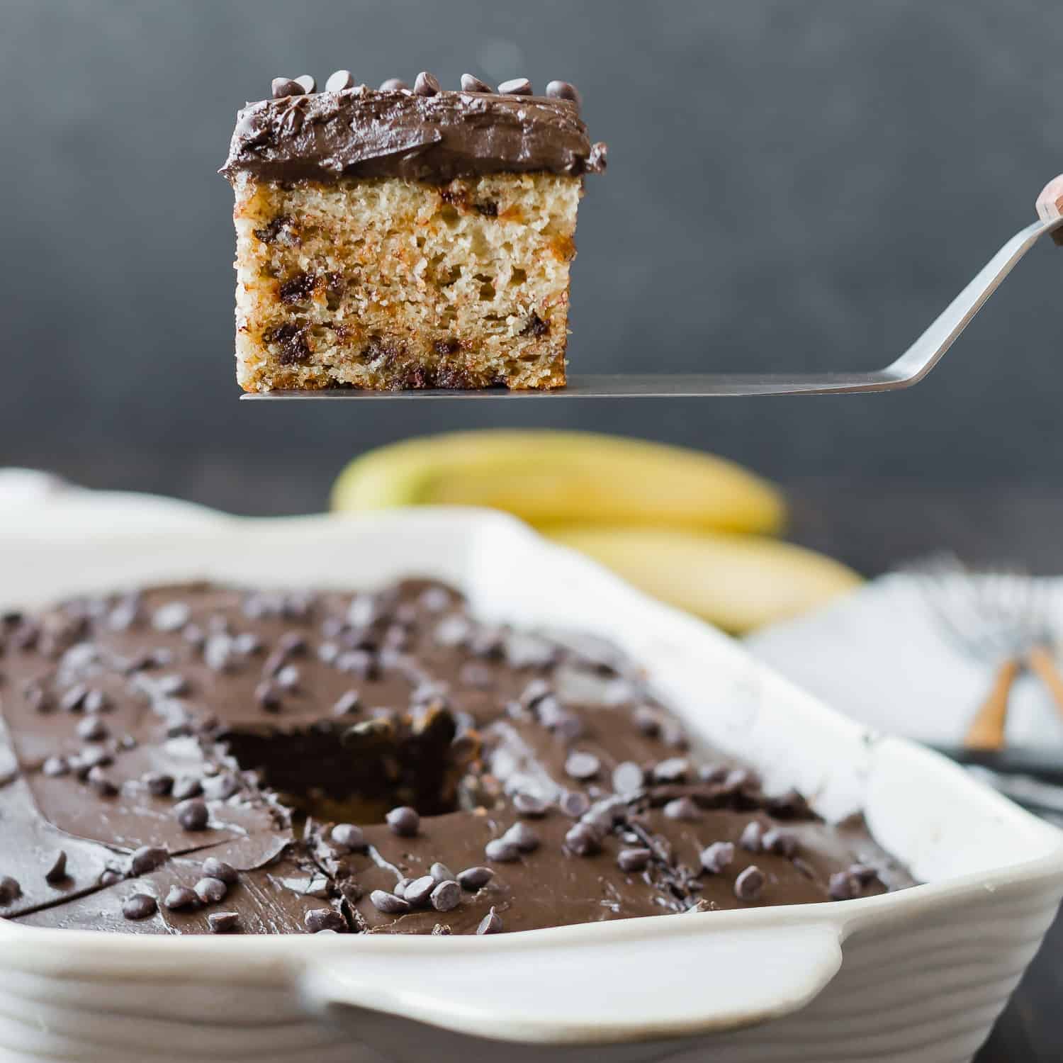 Banana Chocolate Chip Cake with Chocolate Cream Cheese Frosting