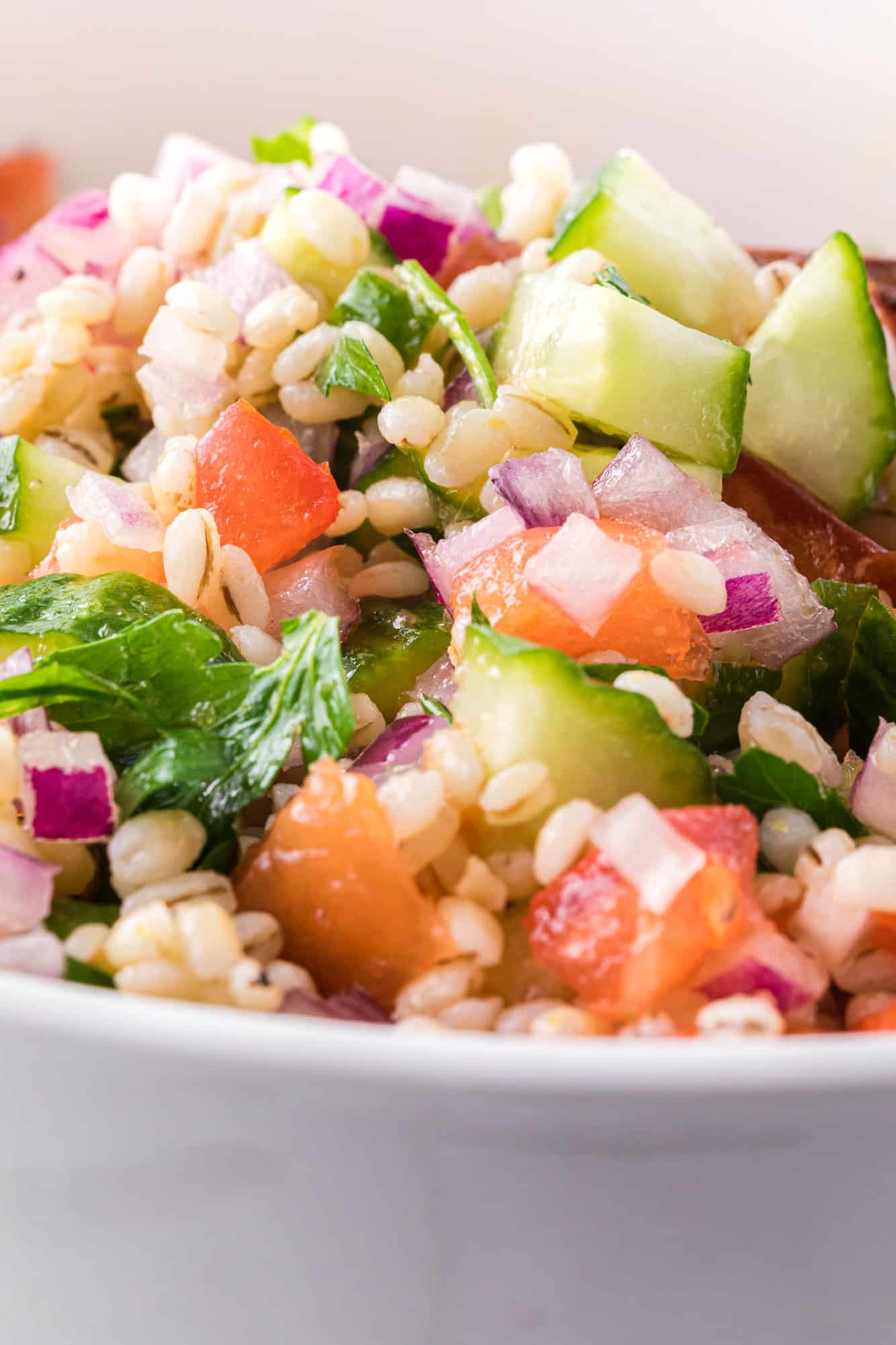 Close up image of barley salad with cucumber, tomato, onion, herbs.