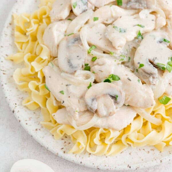 Chicken stroganoff served on egg noodles.