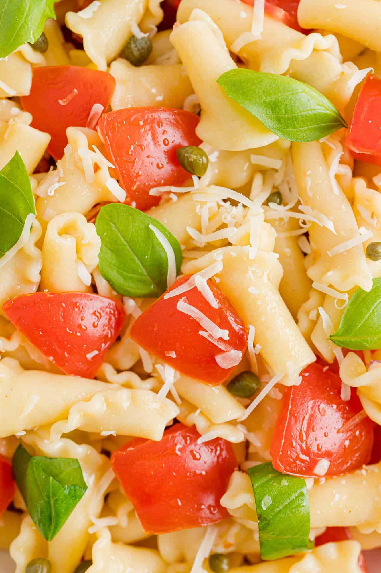 Close up view of fresh tomato pasta with basil leaves, parmesan, and capers.