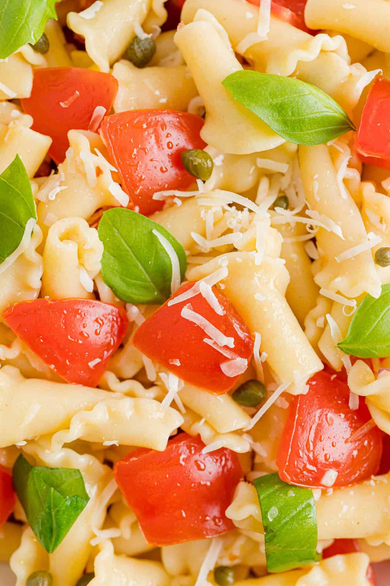 This fresh tomato pasta recipe is the perfect weeknight meal! Made with ripe tomatoes, aromatic basil, garlic, chili flakes, and parmesan. Close up view of fresh tomato pasta with basil leaves, parmesan, and capers.