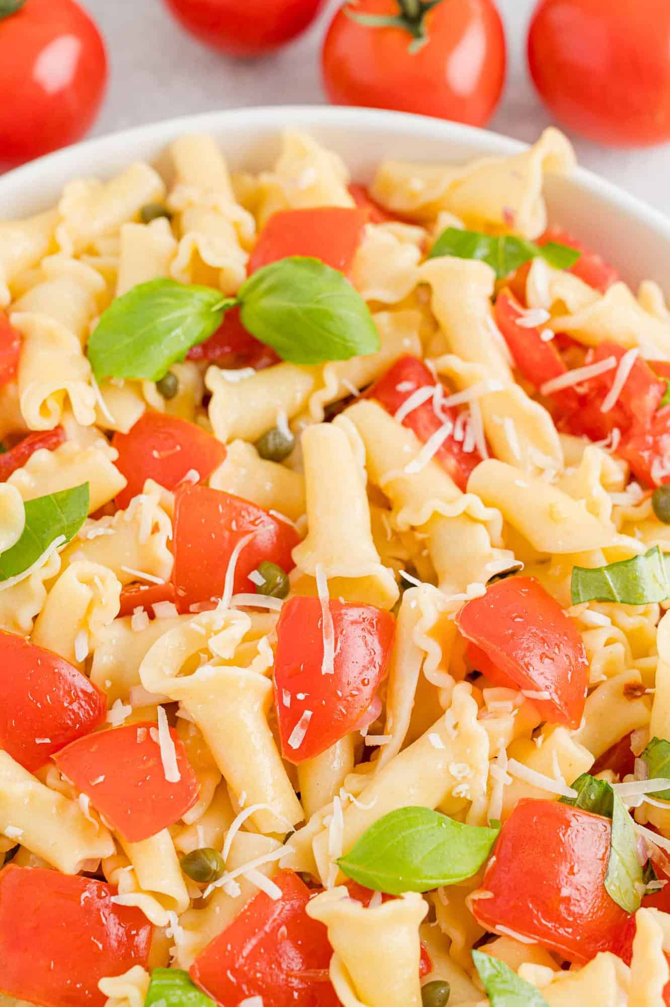 Close up view of a bowl of fresh tomato pasta.
