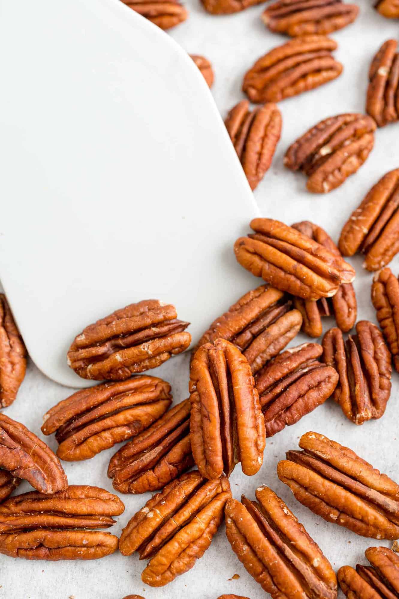 Toasted pecans on a spatula.