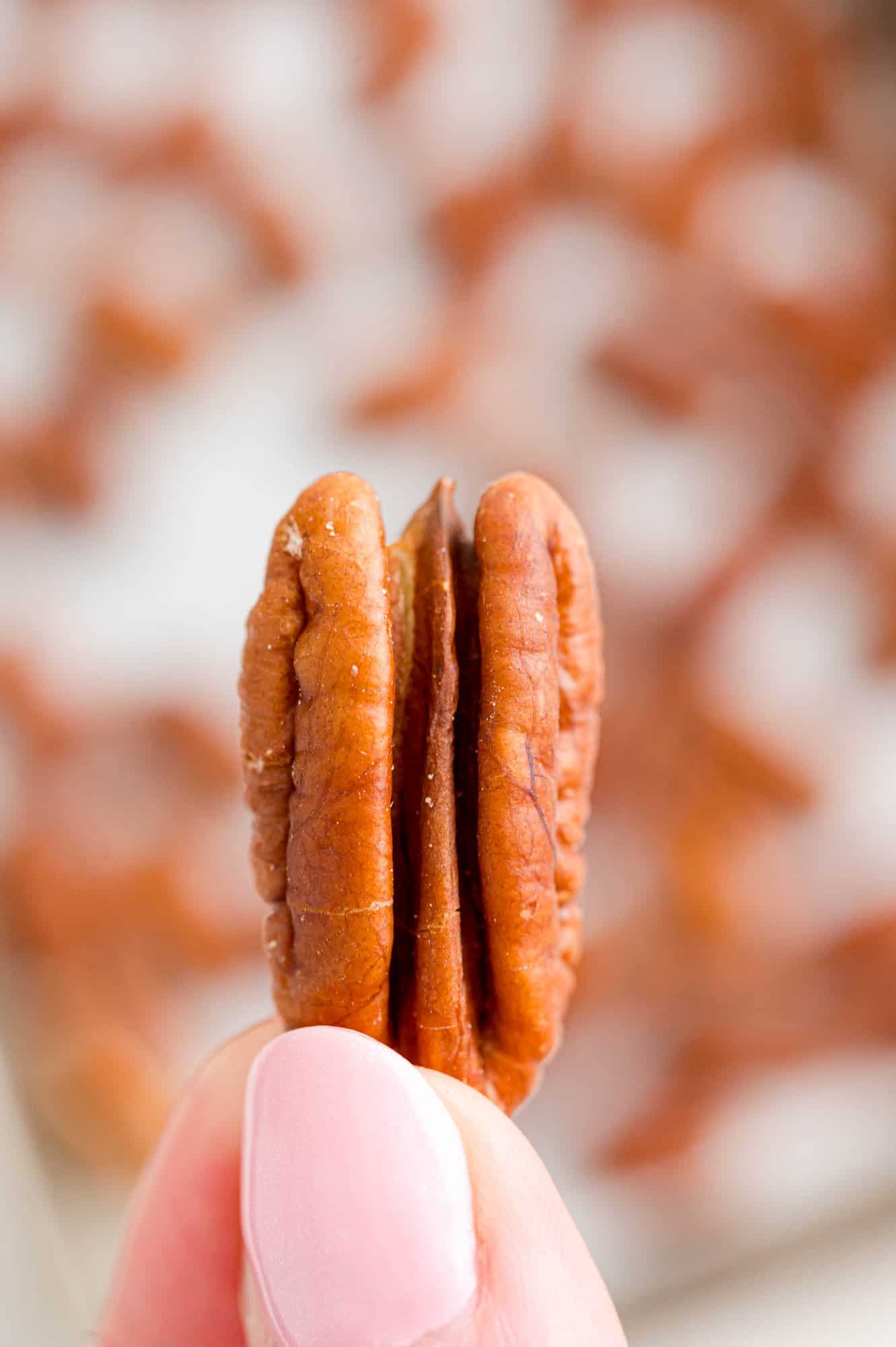 Pecan half held in a hand.