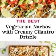 Pinterest image for Vegetarian Nachos.