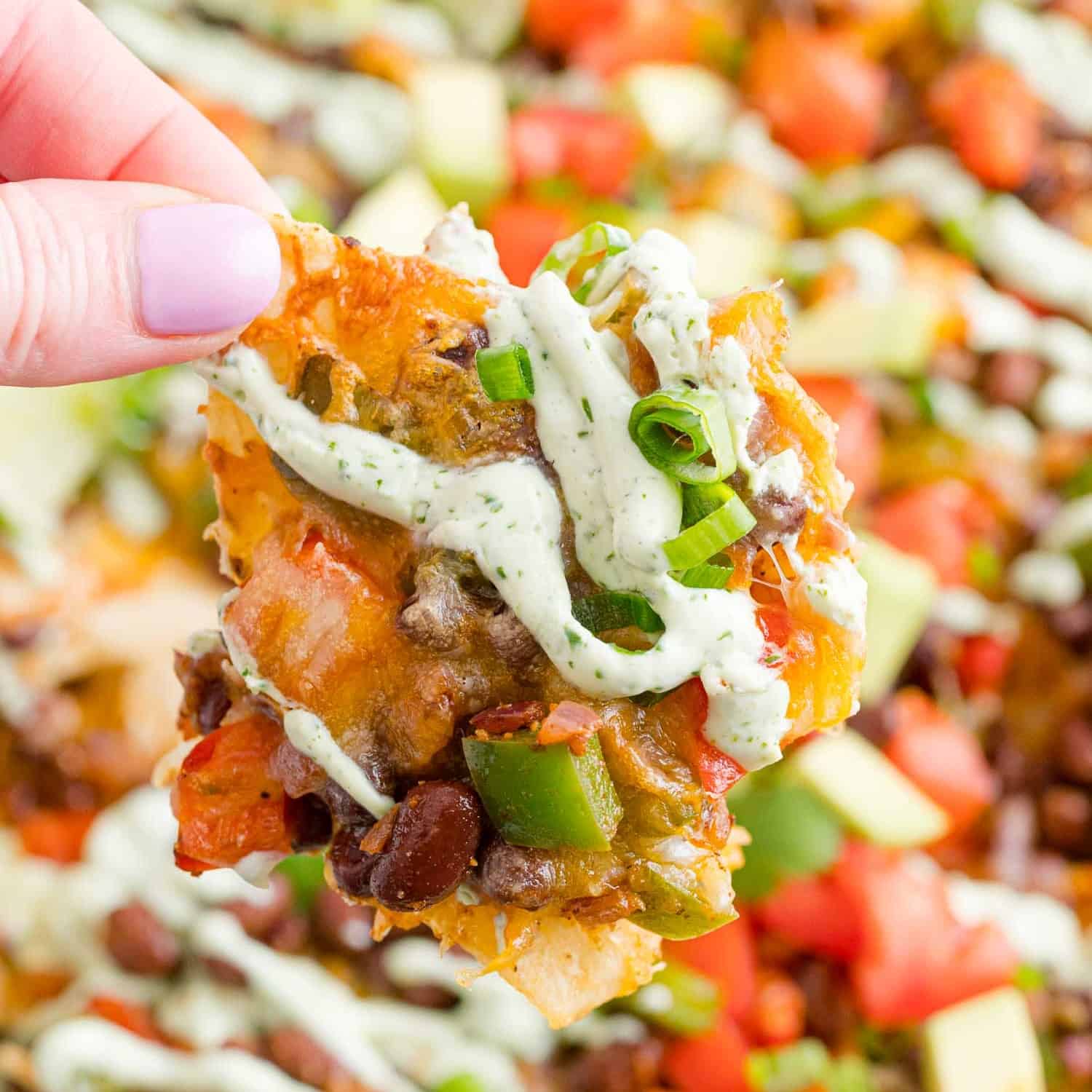 https://www.rachelcooks.com/wp-content/uploads/2023/04/Vegetarian-Nachos-with-Creamy-Cilantro-Lime-Drizzle020-web-square.jpg