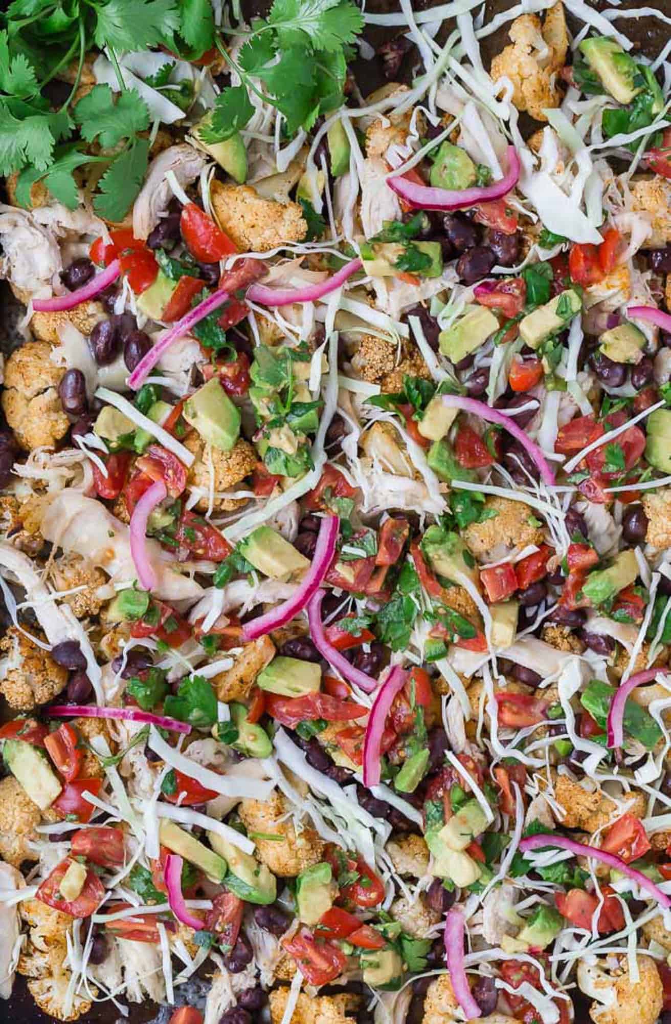 Piled with crisp cabbage, melted cheese, shredded chicken, black beans, diced avocado, and tomatoes, roasted cauliflower nachos have the best of everything! Cauliflower nachos with chicken, cilantro, cabbage, pickled red onions.