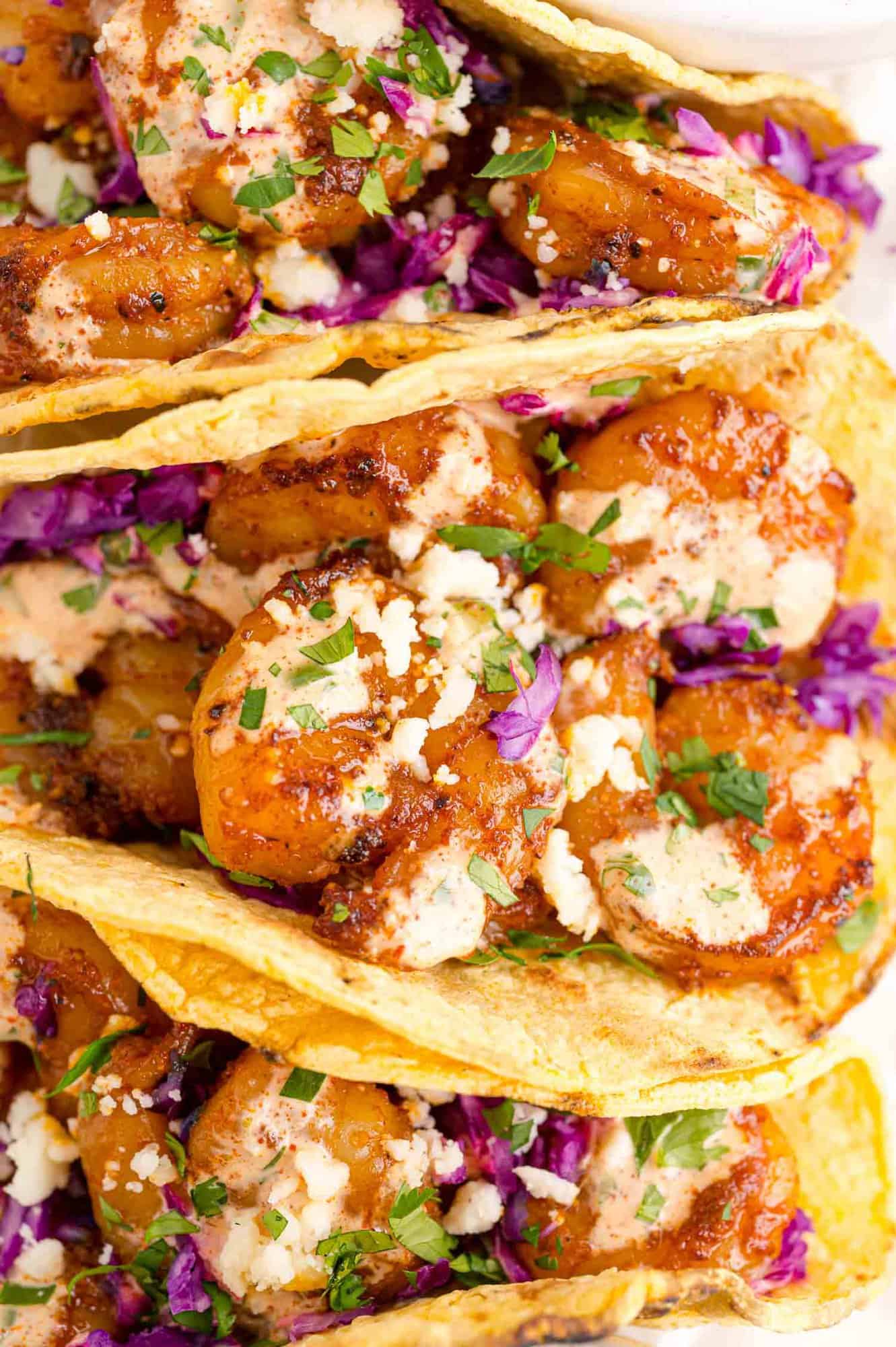 Shrimp tacos, filling frame.