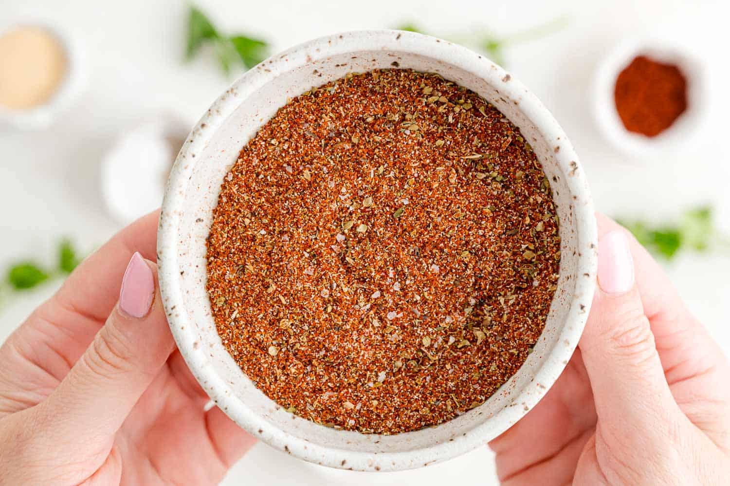 Two hands holding a bowl of Southwest spice blend.