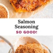 Salmon seasoning Pinterest graphic with text and photos.