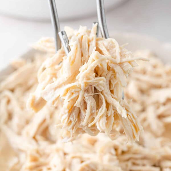 Instant pot shredded chicken held between tongs.