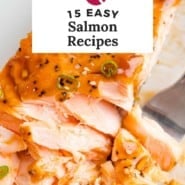 15 easy salmon recipe collection graphic.