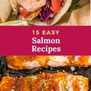 15 easy salmon recipe collection graphic.