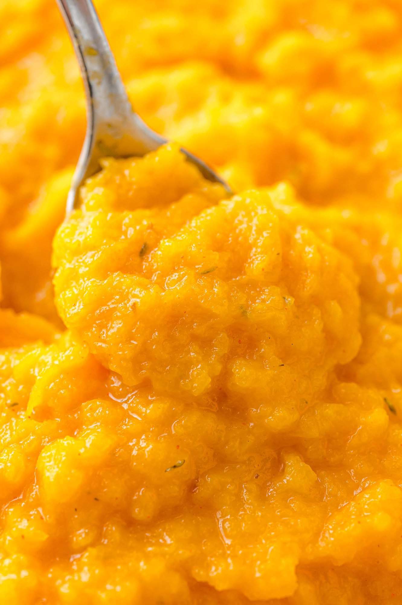 A spoon scooping through mashed butternut squash, close up view.
