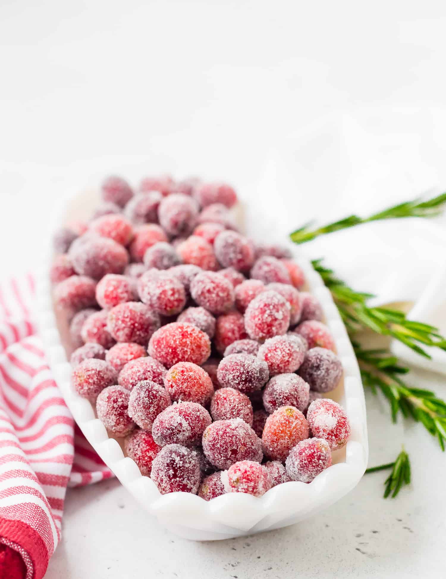 Sugared cranberries in a white bowl, garnished with sprigs of rosemary.