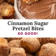 Cinnamon sugar pretzel bites Pinterest graphic with text and photos.