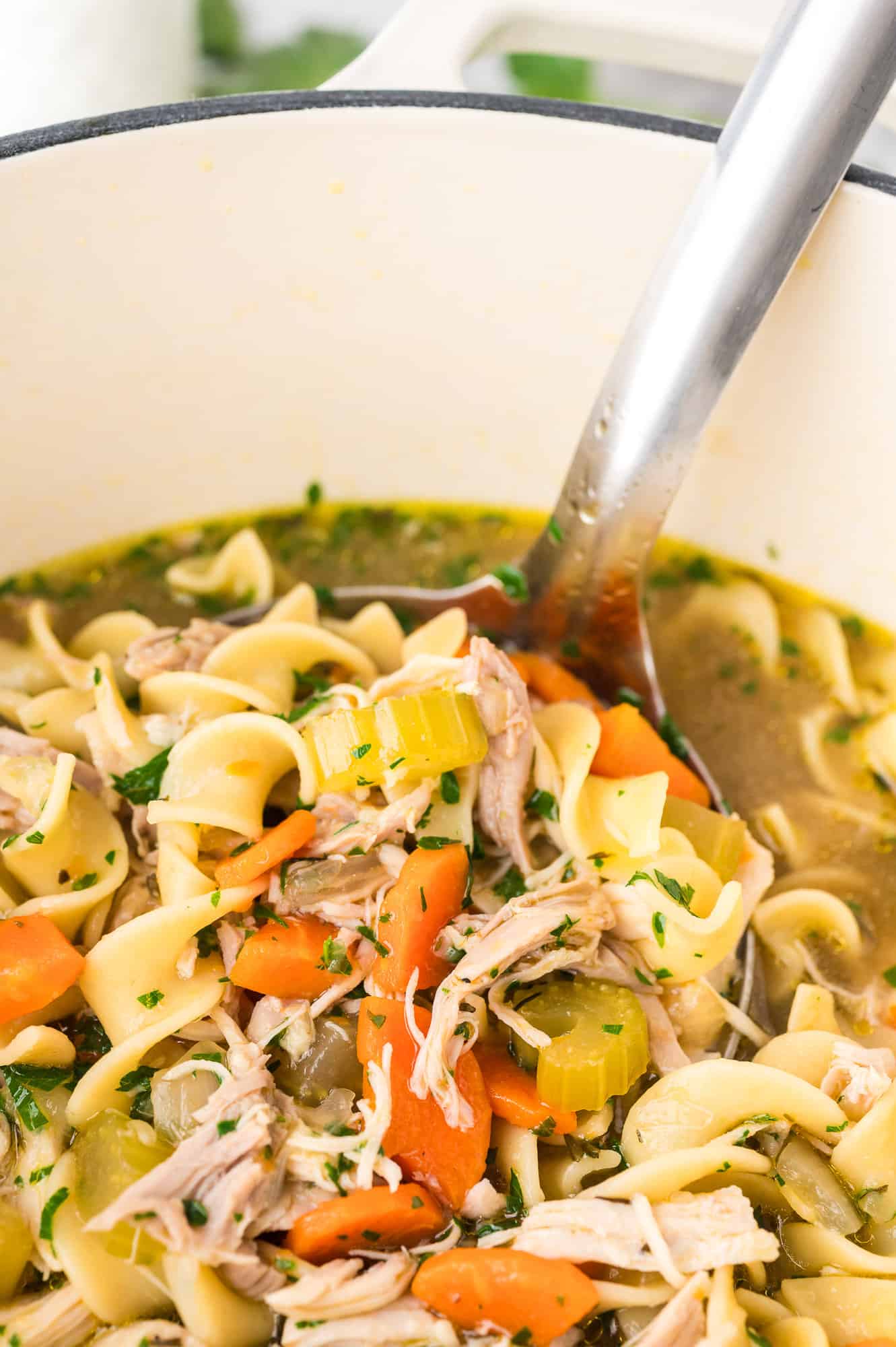 A ladle lifting a serving of homemade chicken noodle soup from a large pot.