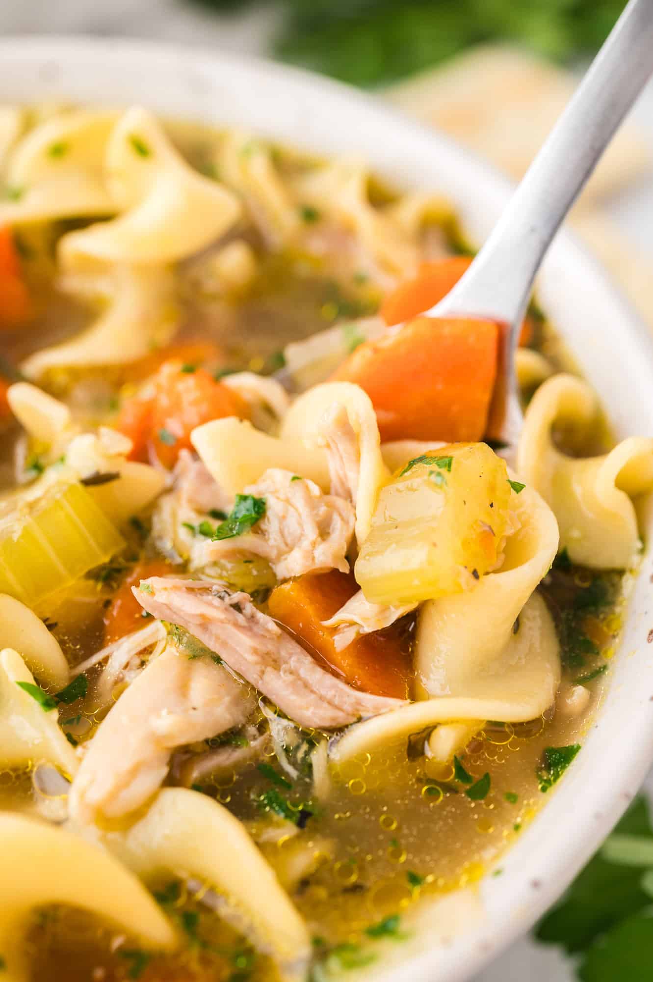 Close up of a spoon lifting chicken noodle soup from a bowl.