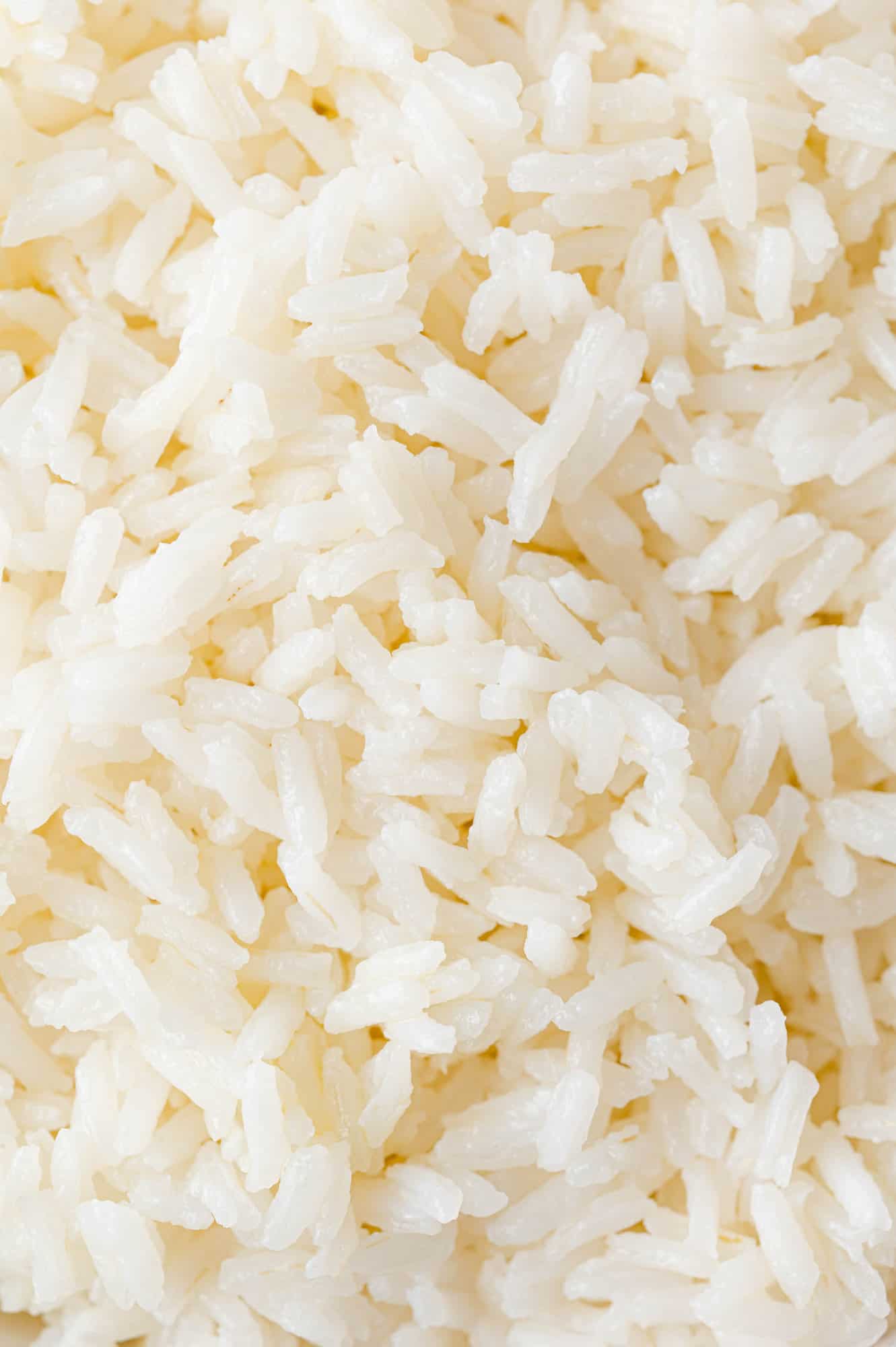 Fluffy cooked jasmine rice, filling the frame.