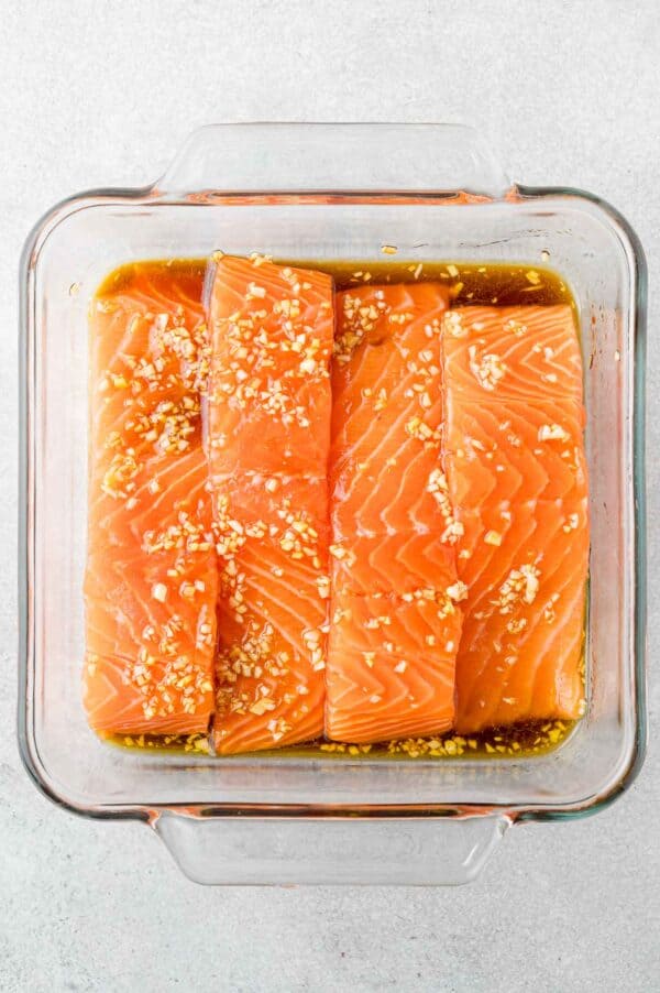 Salmon fillets in marinade.