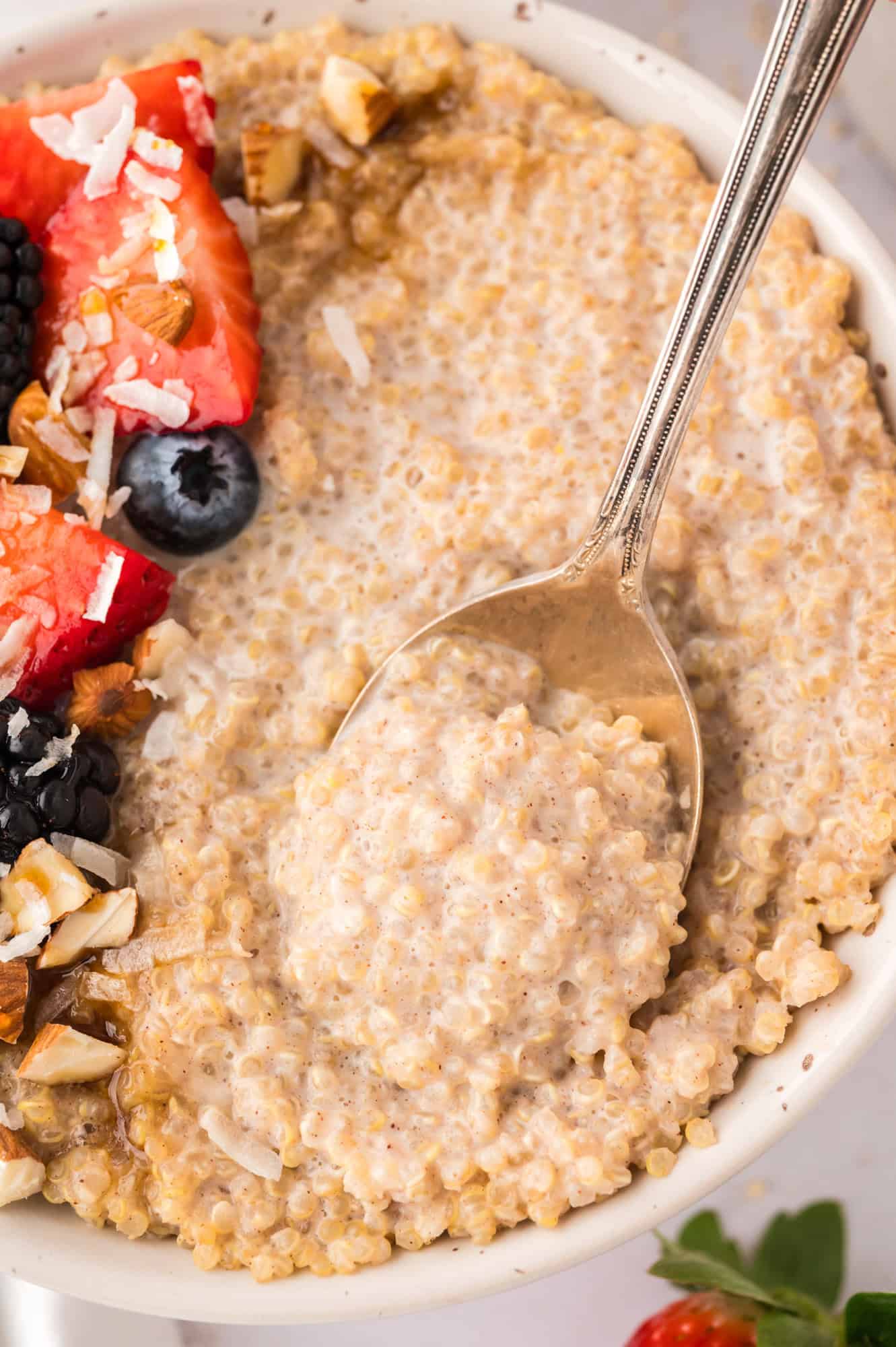 Breakfast quinoa on spoon, after some milk has been added.