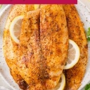 Air Fryer Tilapia  - 16