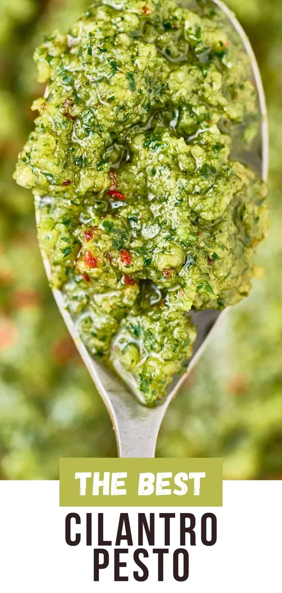 Cilantro Pesto Pinterest graphic with text and photos.