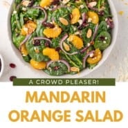 Mandarin Orange Salad Pinterest graphic with text and photos.