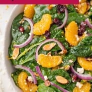 Mandarin Orange Salad Pinterest graphic with text and photos.