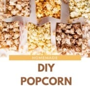 Popcorn Seasoning Pinterest graphic with text and photos.