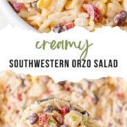 Creamy Southwestern Orzo Pinterest graphic with text and photos.