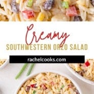 Creamy Southwestern Orzo Pinterest graphic with text and photos.