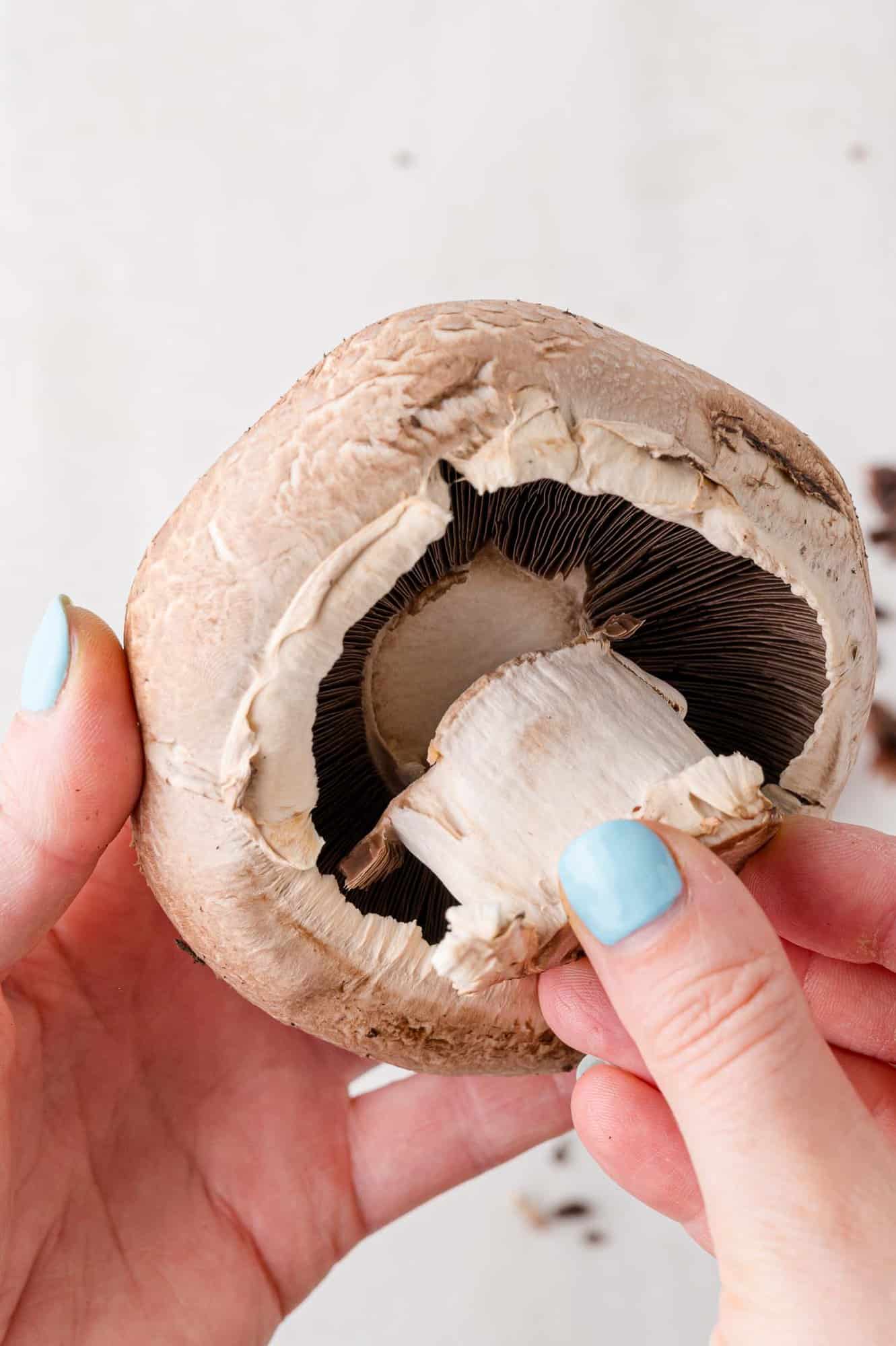 Stem removed from mushroom.