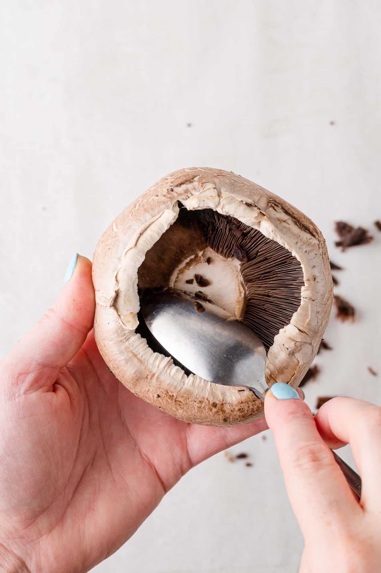 Gills being scraped from mushroom.