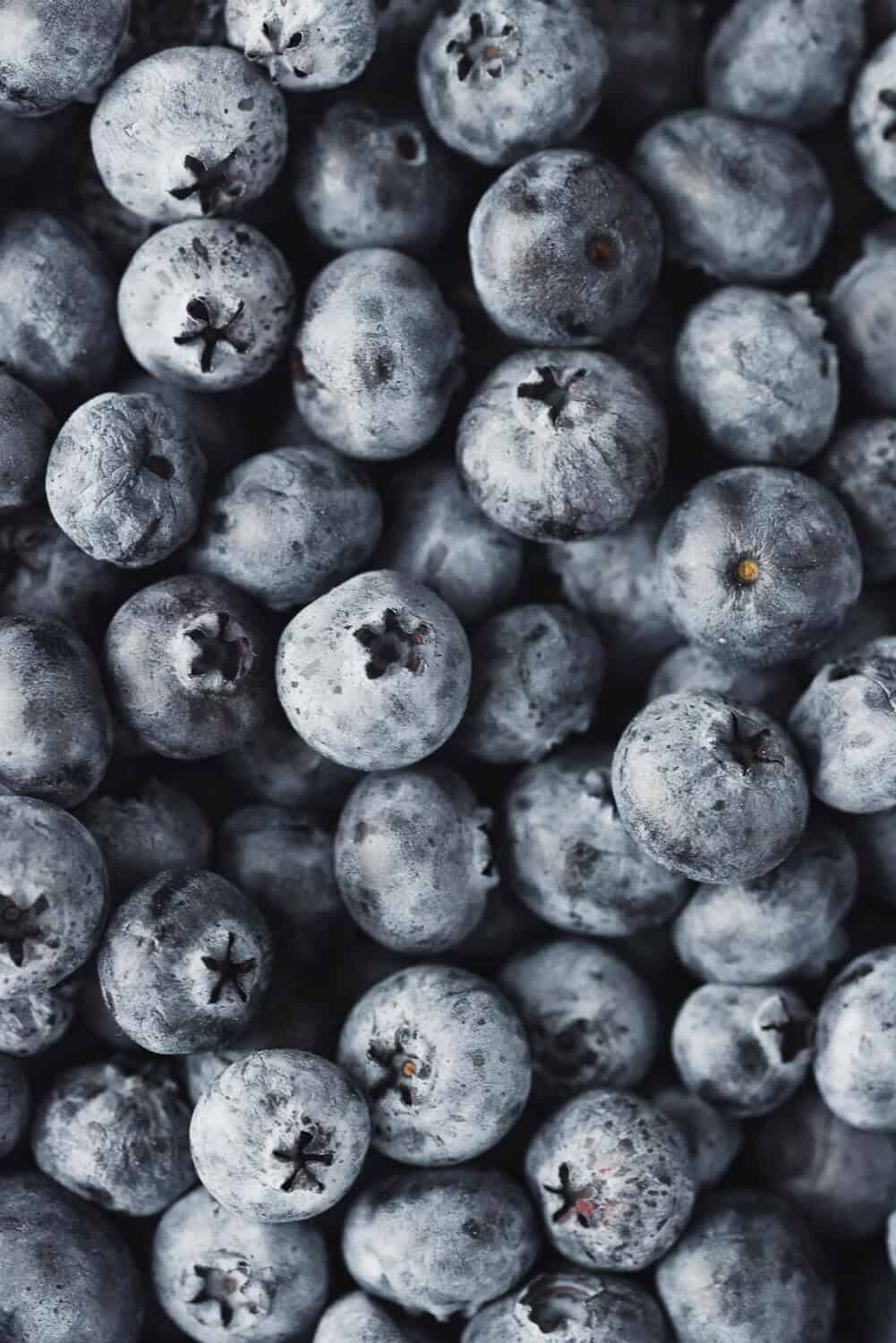 Close up of fresh blueberries, filling frame.