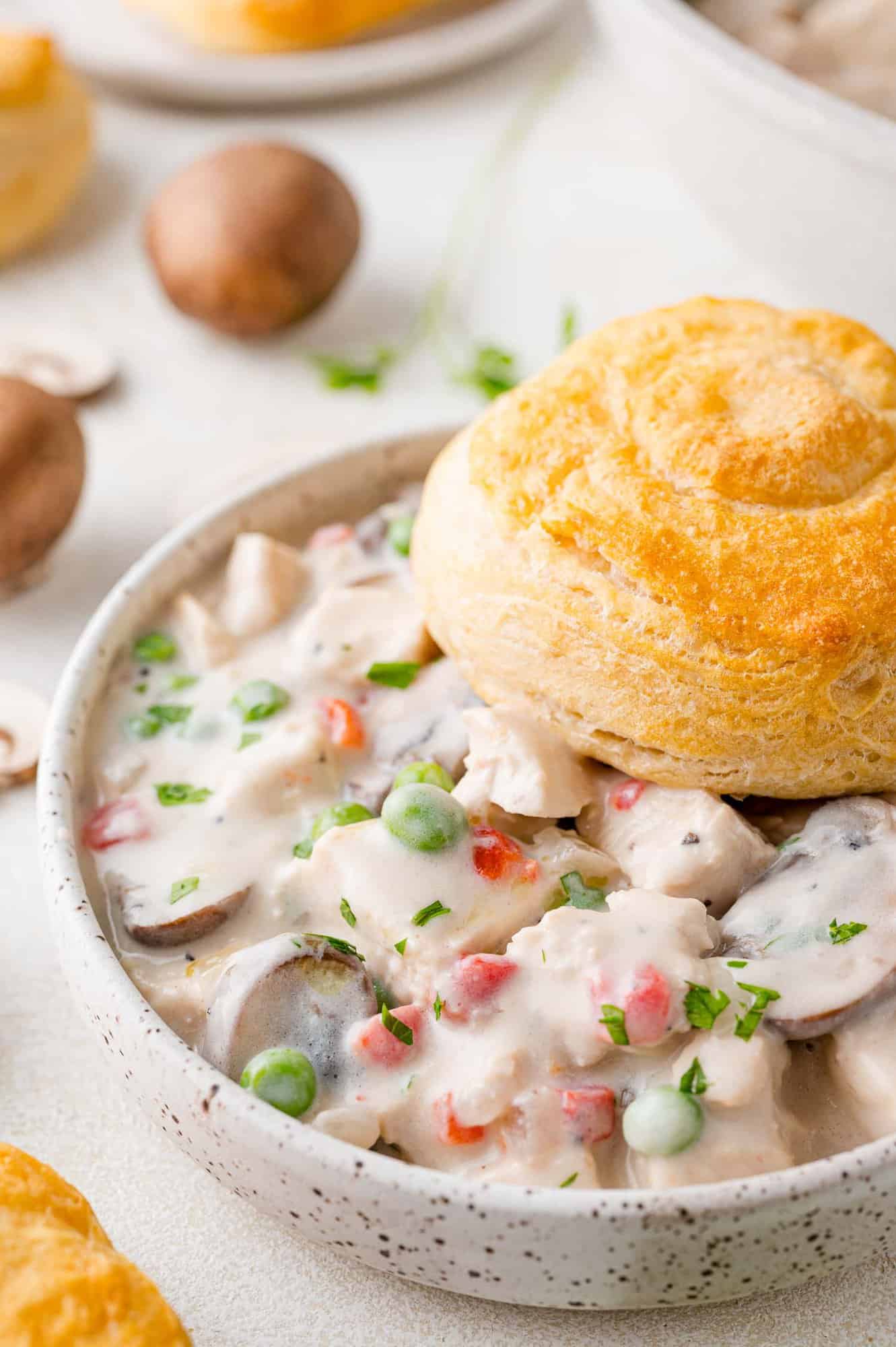 Biscuit placed on the edge of bowl of chicken a la king.