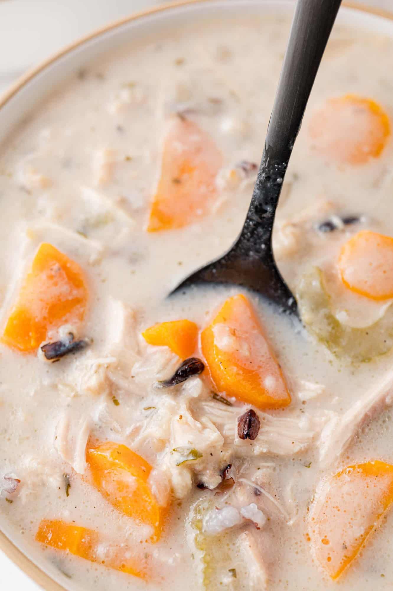Crockpot chicken wild rice shown in a bowl and on a spoon.