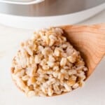 Instant Pot farro on a large wooden spoon in front of the pressure cooker.