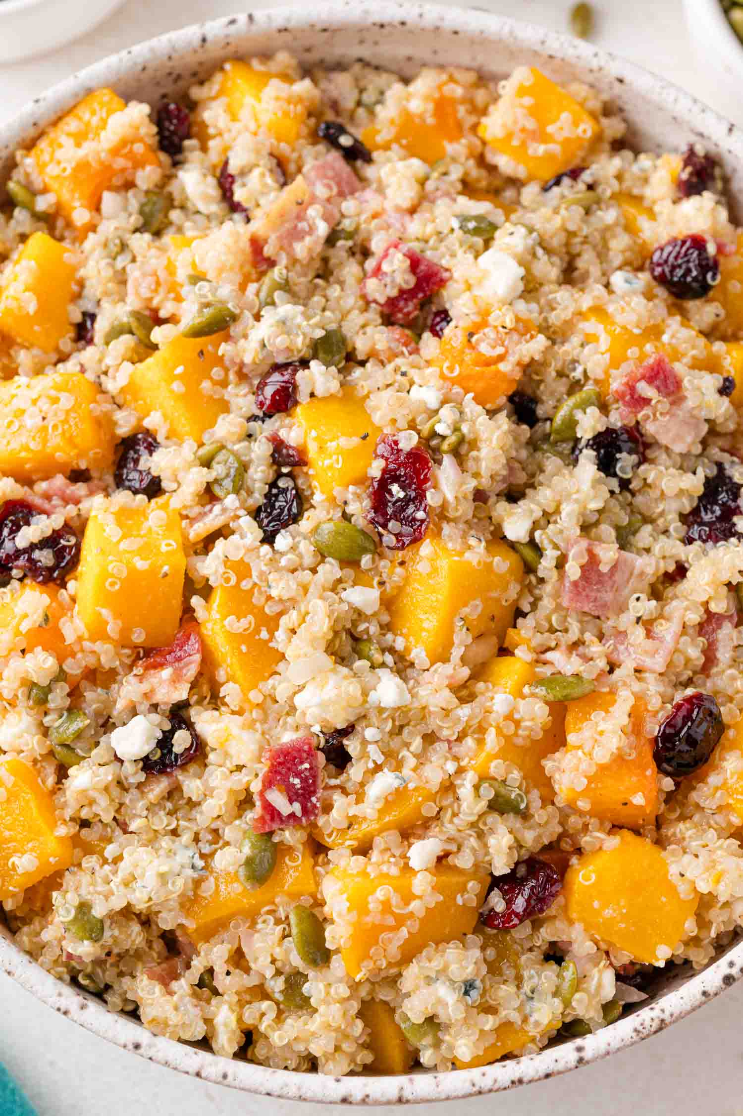 A bowl of quinoa salad with chunks of squash, bacon, dried cranberries, pumpkin seeds, and blue cheese.