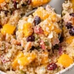 A spoonful of quinoa salad with chunks of butternut squash, cranberries, bacon bits, pepitas, and crumbled cheese in a bowl.