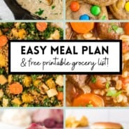 Collage of baked chicken, colorful cookies, salad, soup, sliced pork, and burgers. Text overlay reads: Easy Meal Plan & free printable grocery list!