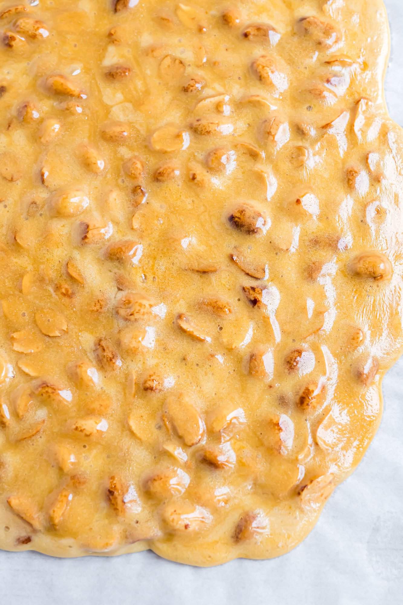 Close-up of a golden-brown peanut brittle, showing a glossy surface with embedded peanuts on parchment paper.