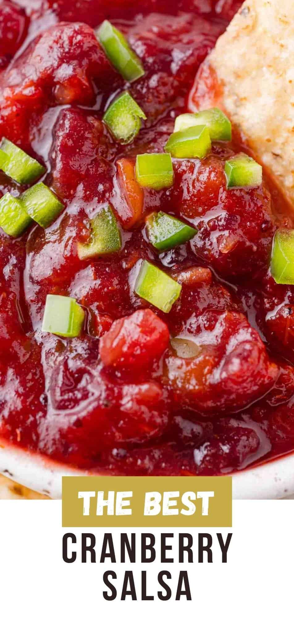 Cranberry Salsa Pinterest graphic with text and photos.