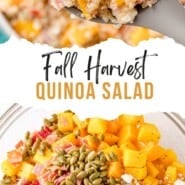 Fall Quinoa Salad Pinterest graphic with text and photos.